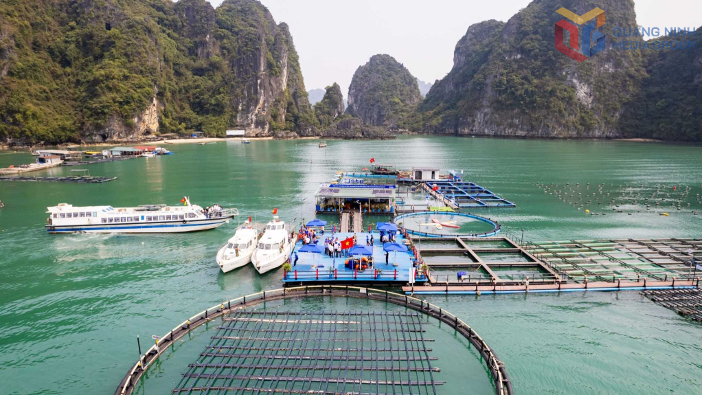 Vân Đồn sẽ thí điểm phát triển du lịch sinh thái biển đảo gắn với nuôi trồng thủy sản tại 16 vùng nuôi nhuyễn thể, cá biển và du lịch trải nghiệm.