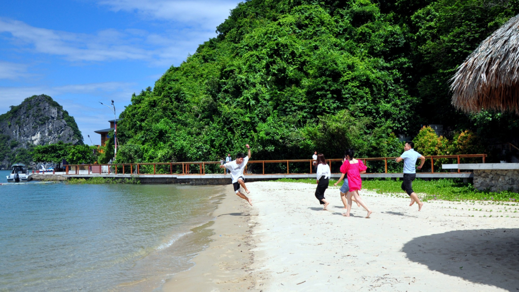 Ngày đầu dành thời gian tham quan vịnh Hạ Long.