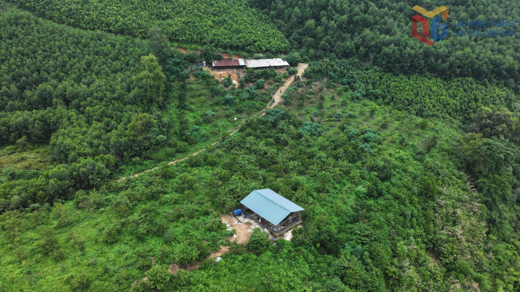 Bình Liêu sẽ tập trung phát triển kinh tế nông - lâm nghiệp gắn với chế biến sâu và du lịch cộng đồng.