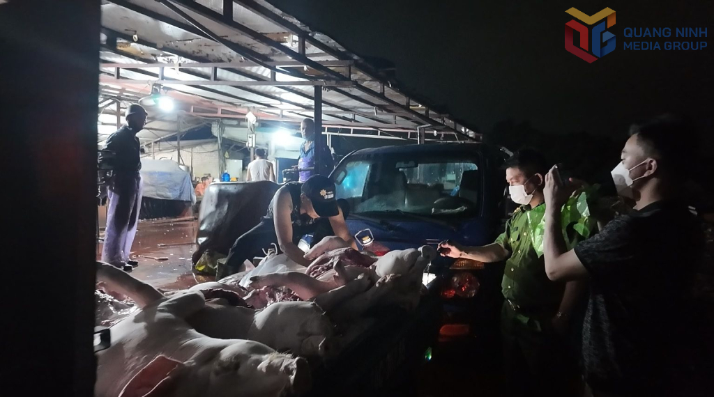 Lực lượng chức năng kiểm tra, phát hiện nhiều sai phạm tại lò mổ lợn tại phường Việt Hưng, Quảng Ninh.