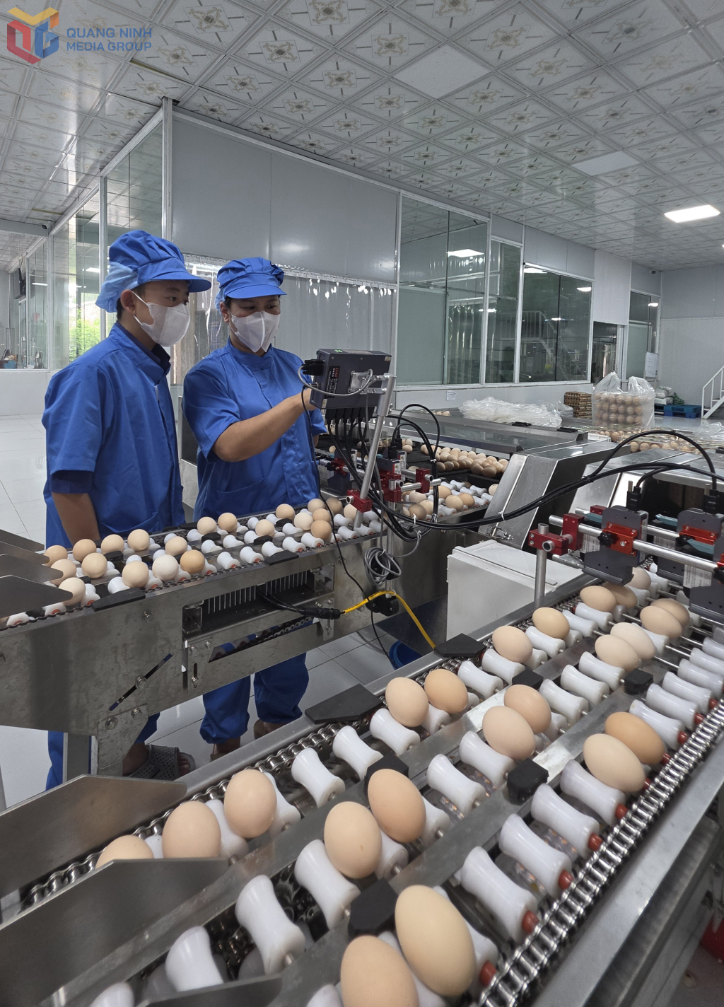 Lãnh đạo Công ty TNHH sản xuất thương mại thực phẩm Tân An đang kiểm tra thiết bị dập mã sản truy xuất nguồn gốc lên sản phẩm trứng gà trước khi đưa ra thị trường.