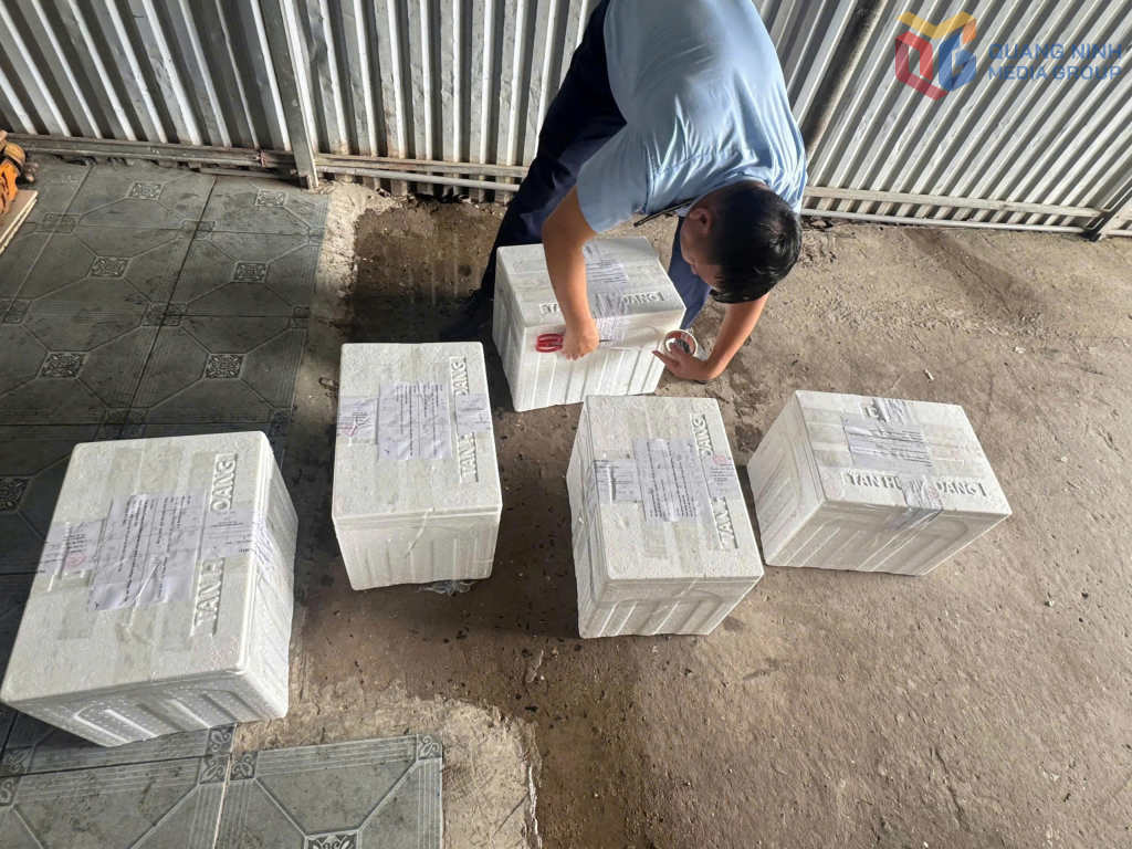 Kết quả kiểm định chất lượng 5/5 mẫu nước đá dùng liền tại cơ sở này đều không đạt Quy chuẩn kỹ thuật quốc gia QCVN 10:2011/BYT. Các mẫu đều có ít nhất 3 chỉ tiêu vi sinh vượt giới hạn cho phép.