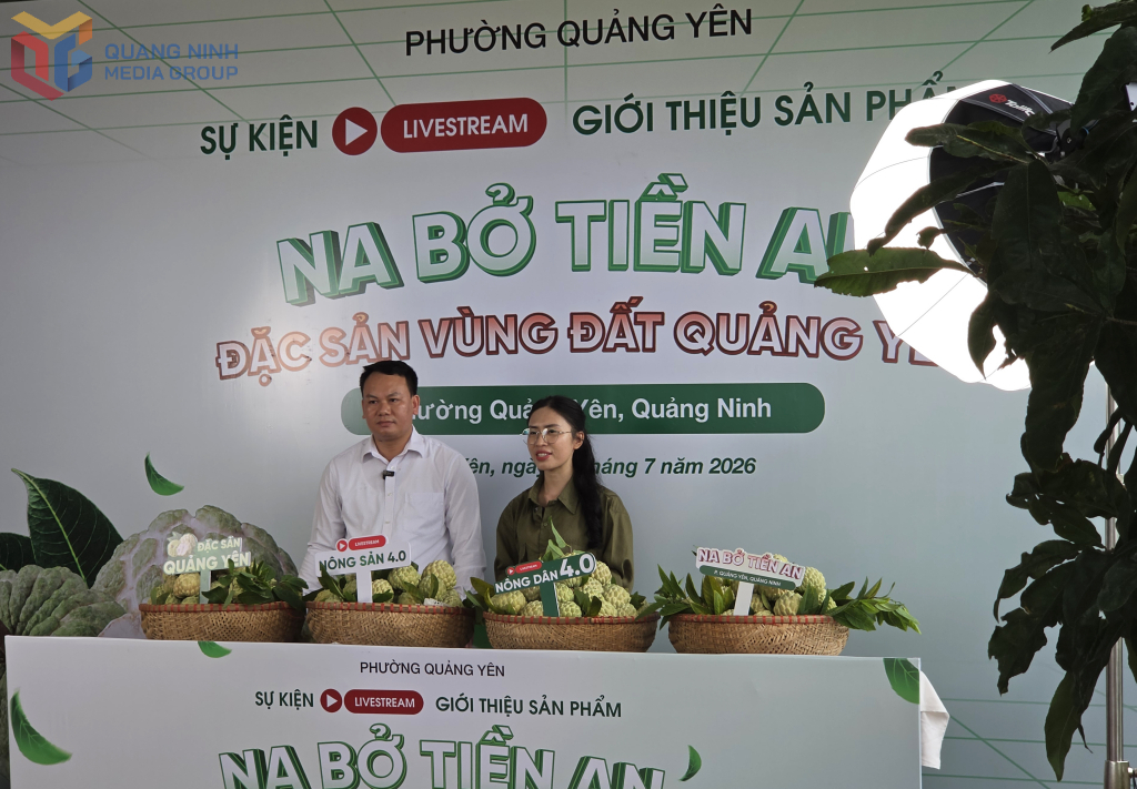 Phó Chủ tịch UBND phường Quảng Yên Đoàn Phúc Trường trực tiếp giải đáp những tương tác của người xem livestream.