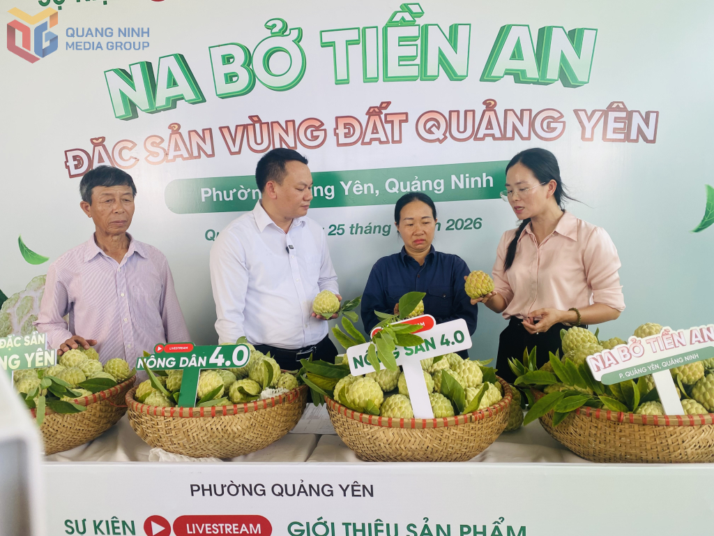 Lãnh đạo, cán bộ phường Quảng Yên và người dân khu Tiền An giới thiệu na trong buổi livestream.