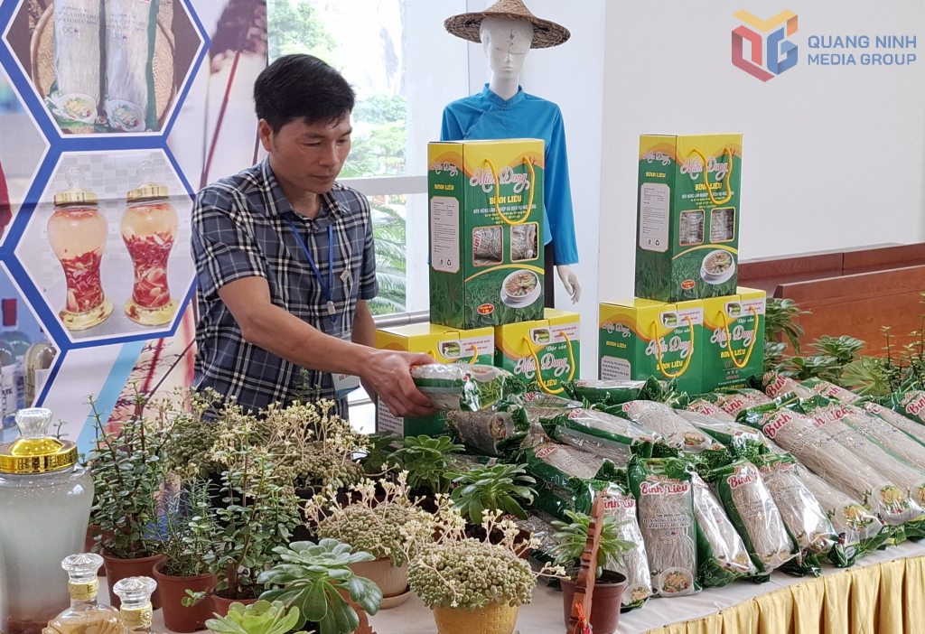 Giám đốc HTX Nông nghiệp và Dịch vụ Nghiệp Đoàn (xã Hoành Mô) Vi Văn Nghiệp, giới thiệu các sản phẩm đặc trưng của HTX.