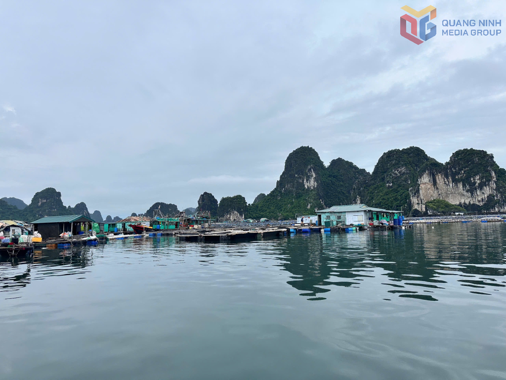 Khoảng 93% số cơ sở được giao khu vực biển vẫn là các hộ sản xuất quy mô nhỏ.