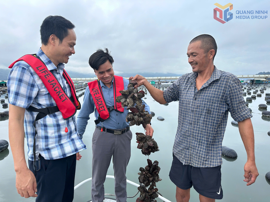 Lãnh đạo phường Cẩm Phả kiểm tra hoạt động nuôi trồng thủy sản tại Hòn Cặp Vọ.