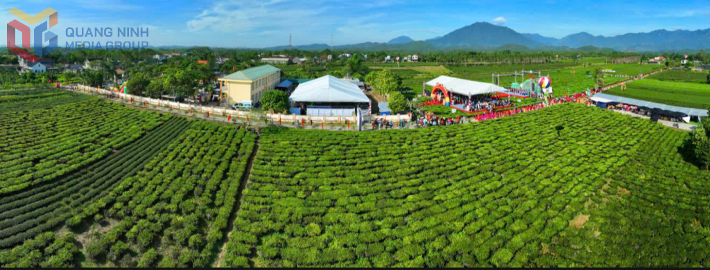 Sẽ có Giải chạy Marathon quanh đồi chè tại thôn Đường Hoa Cương.