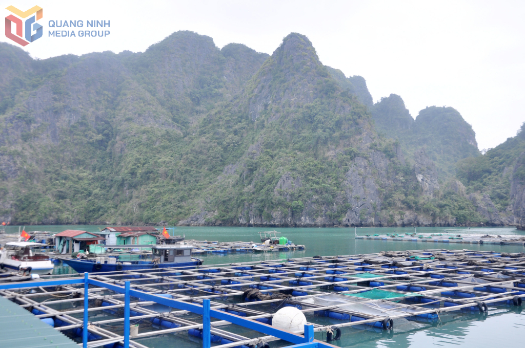 Vân Đồn giàu tiềm năng cho du lịch trải nghiệm gắn với những vùng nuôi trồng thủy sản rộng lớn trên địa bàn.