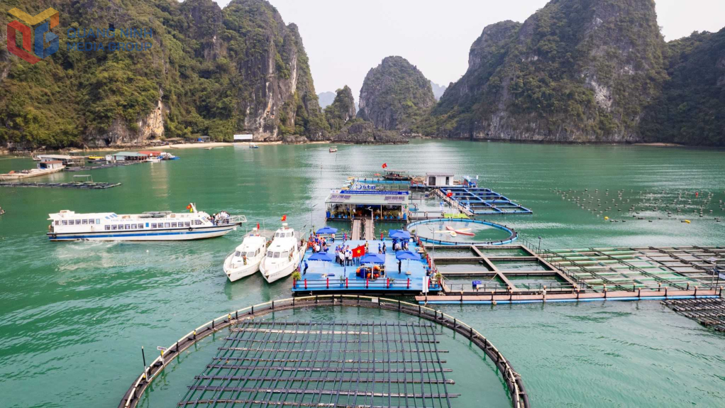 Vân Đồn sẽ thí điểm phát triển du lịch sinh thái biển đảo gắn với NTTS tại 16 vùng nuôi nhuyễn thể, cá biển và du lịch trải nghiệm đã được quy hoạch và giao vùng biển để nuôi trồng thủy sản. Ảnh: Mai Duyên (CTV)