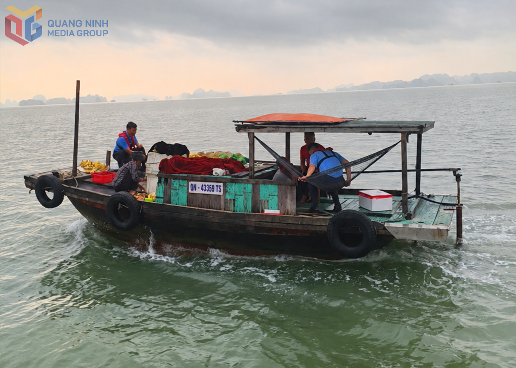 Lực lượng chức năng xử lý, đưa các tàu vi phạm vào bờ.